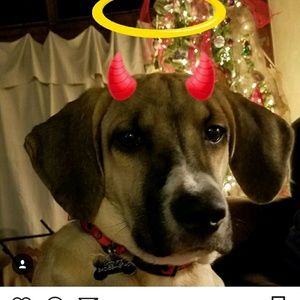 Meet your Posher, Brandi